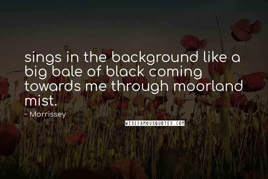 Morrissey Quotes: sings in the background like a big bale of black coming towards me through moorland mist.