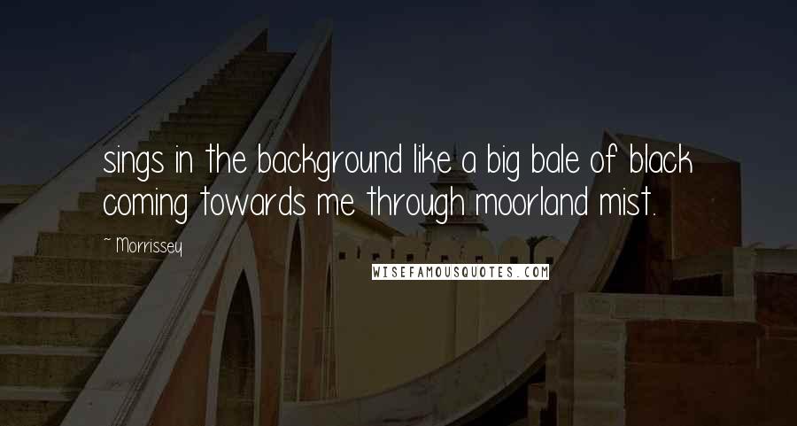 Morrissey Quotes: sings in the background like a big bale of black coming towards me through moorland mist.