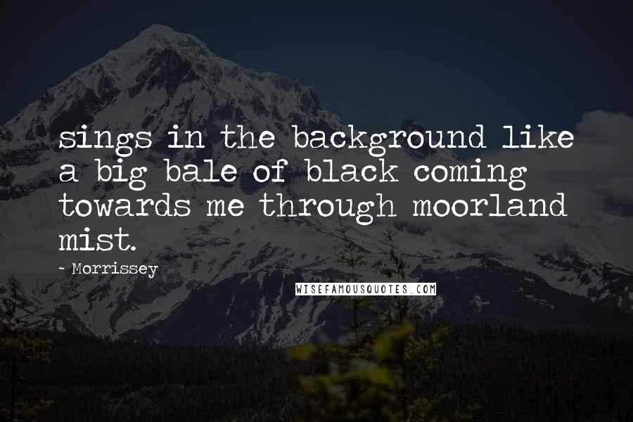 Morrissey Quotes: sings in the background like a big bale of black coming towards me through moorland mist.