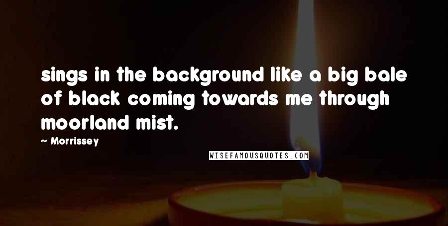 Morrissey Quotes: sings in the background like a big bale of black coming towards me through moorland mist.