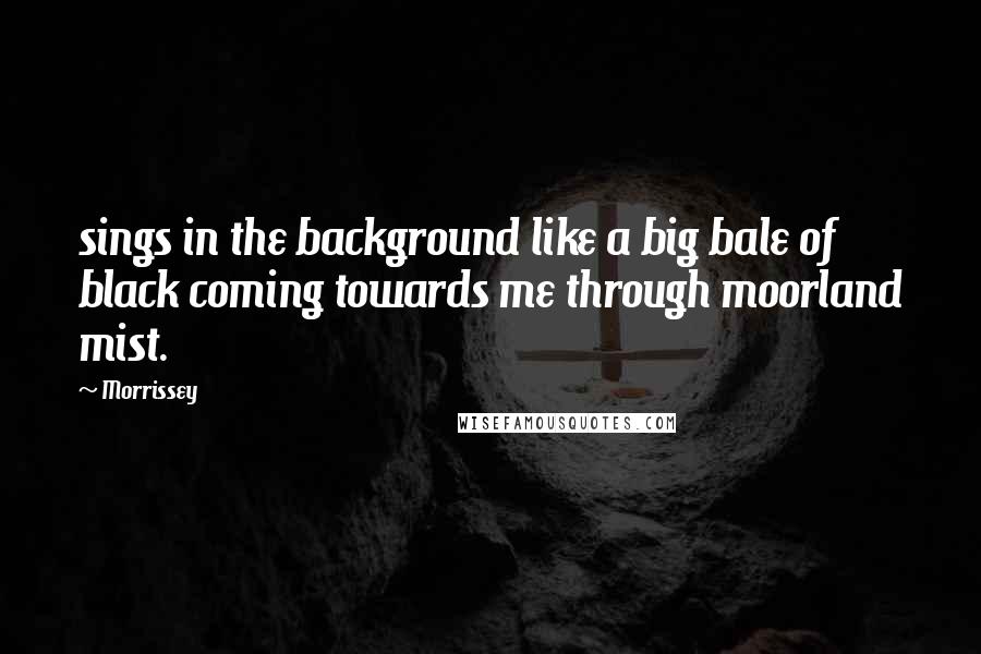 Morrissey Quotes: sings in the background like a big bale of black coming towards me through moorland mist.