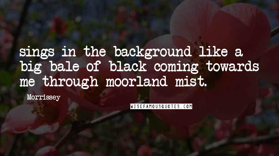 Morrissey Quotes: sings in the background like a big bale of black coming towards me through moorland mist.