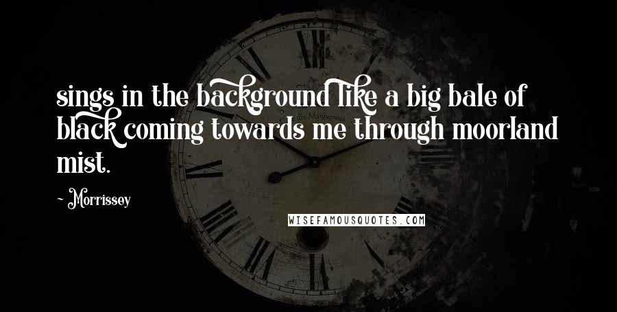 Morrissey Quotes: sings in the background like a big bale of black coming towards me through moorland mist.