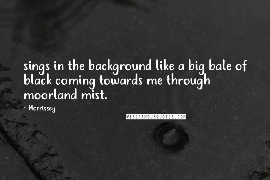 Morrissey Quotes: sings in the background like a big bale of black coming towards me through moorland mist.