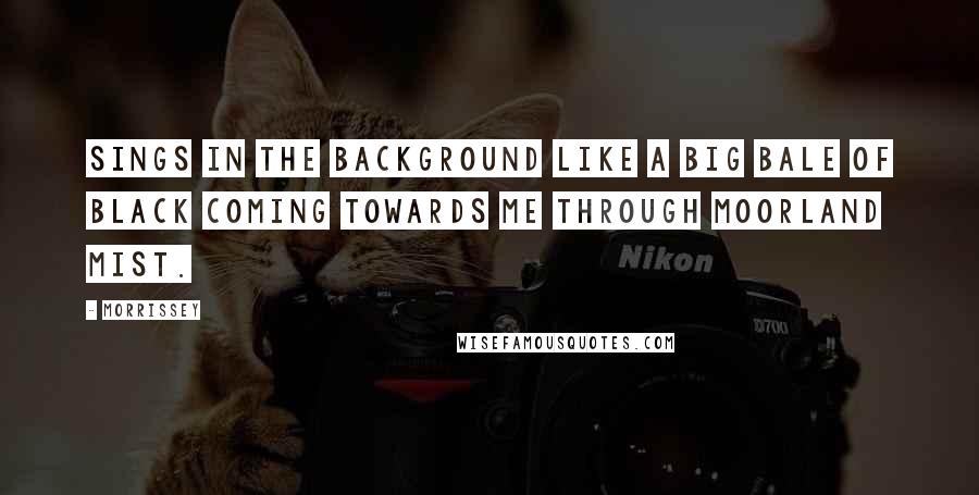 Morrissey Quotes: sings in the background like a big bale of black coming towards me through moorland mist.