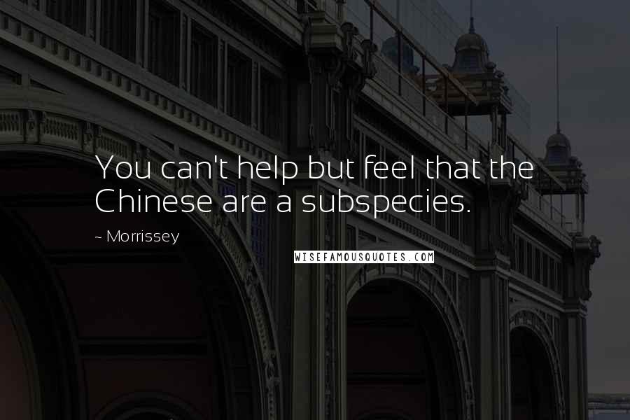 Morrissey Quotes: You can't help but feel that the Chinese are a subspecies.