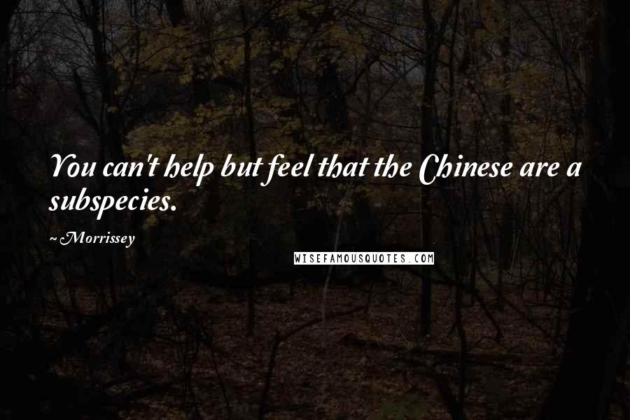 Morrissey Quotes: You can't help but feel that the Chinese are a subspecies.