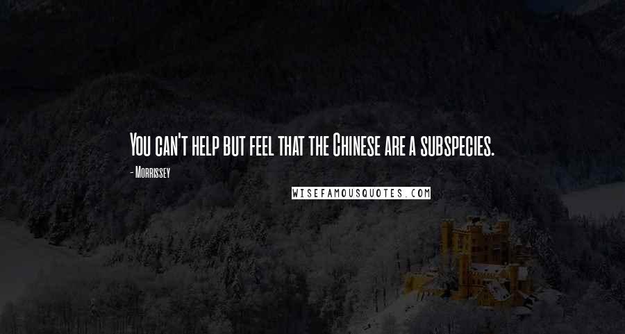 Morrissey Quotes: You can't help but feel that the Chinese are a subspecies.