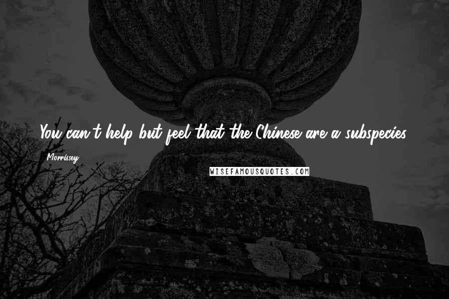 Morrissey Quotes: You can't help but feel that the Chinese are a subspecies.