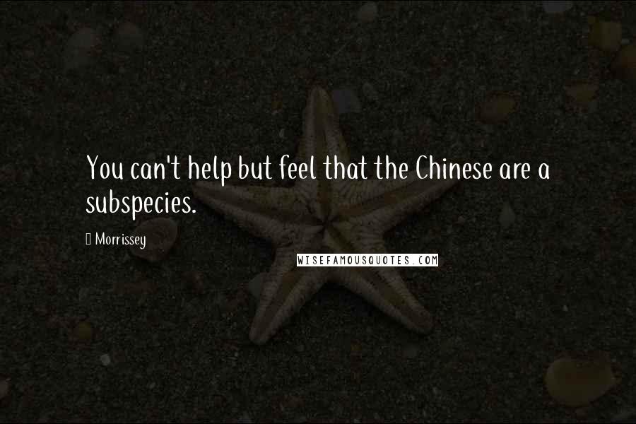 Morrissey Quotes: You can't help but feel that the Chinese are a subspecies.