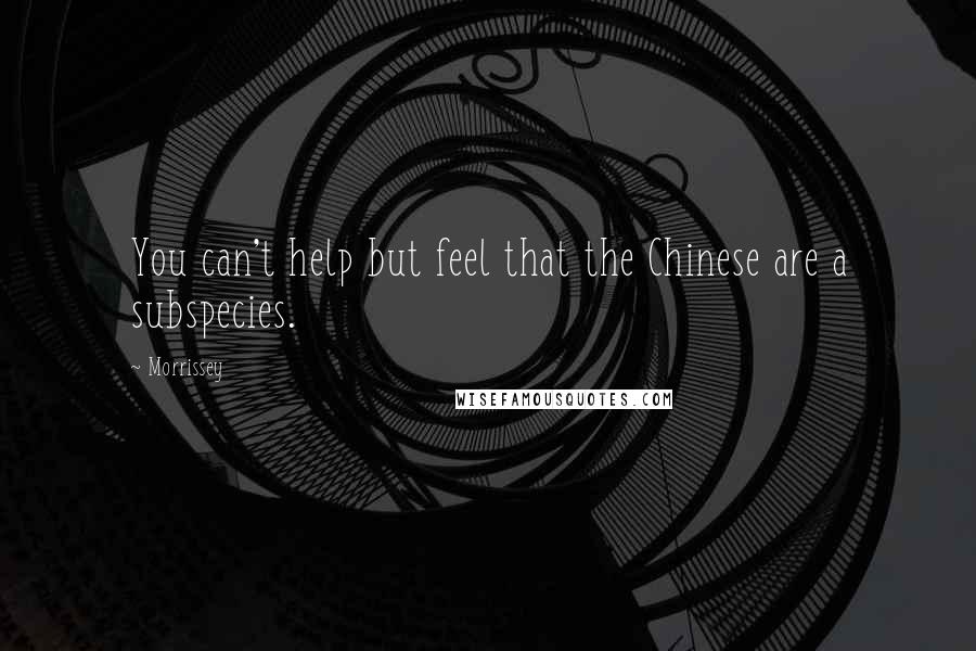 Morrissey Quotes: You can't help but feel that the Chinese are a subspecies.