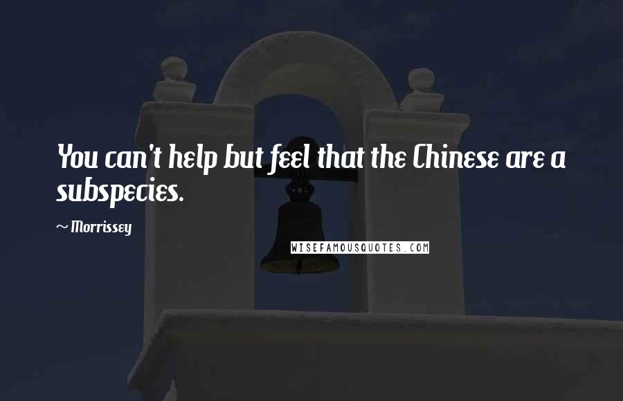 Morrissey Quotes: You can't help but feel that the Chinese are a subspecies.