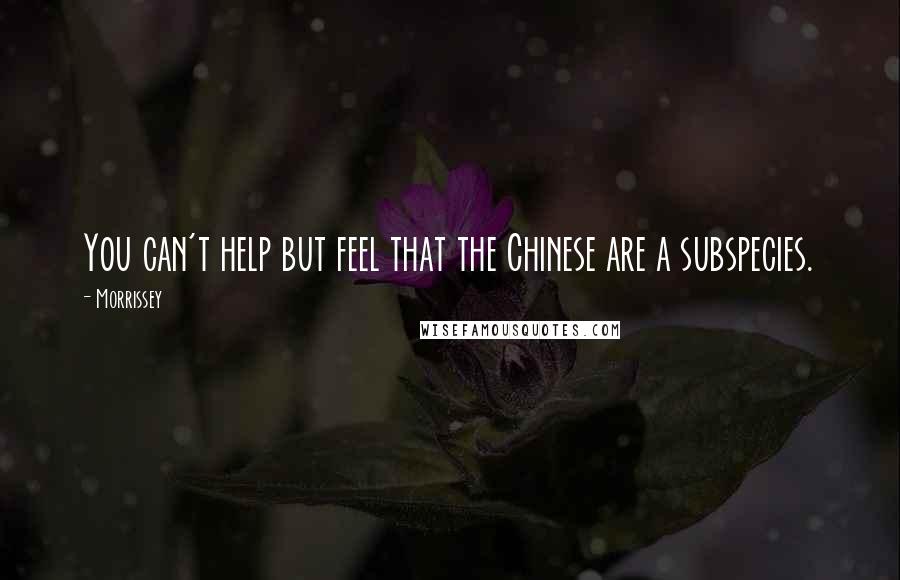 Morrissey Quotes: You can't help but feel that the Chinese are a subspecies.