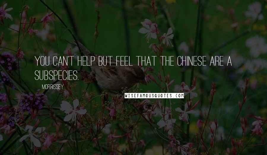 Morrissey Quotes: You can't help but feel that the Chinese are a subspecies.