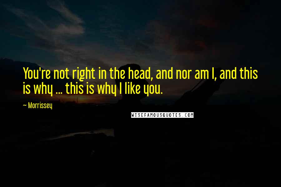 Morrissey Quotes: You're not right in the head, and nor am I, and this is why ... this is why I like you.