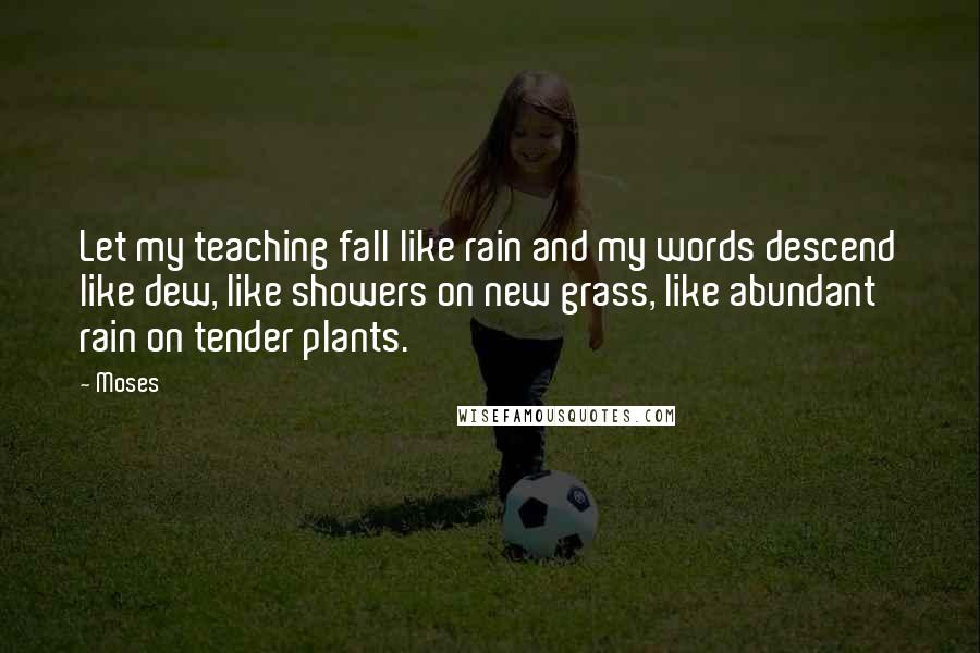 Moses Quotes: Let my teaching fall like rain and my words descend like dew, like showers on new grass, like abundant rain on tender plants.