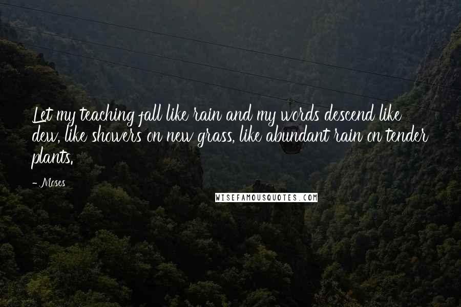 Moses Quotes: Let my teaching fall like rain and my words descend like dew, like showers on new grass, like abundant rain on tender plants.