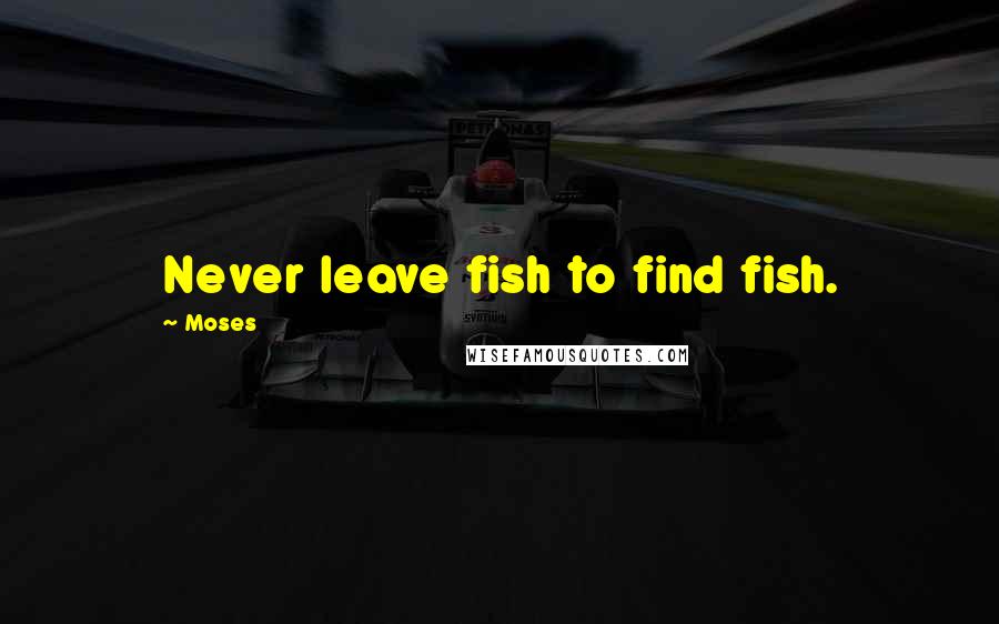 Moses Quotes: Never leave fish to find fish.