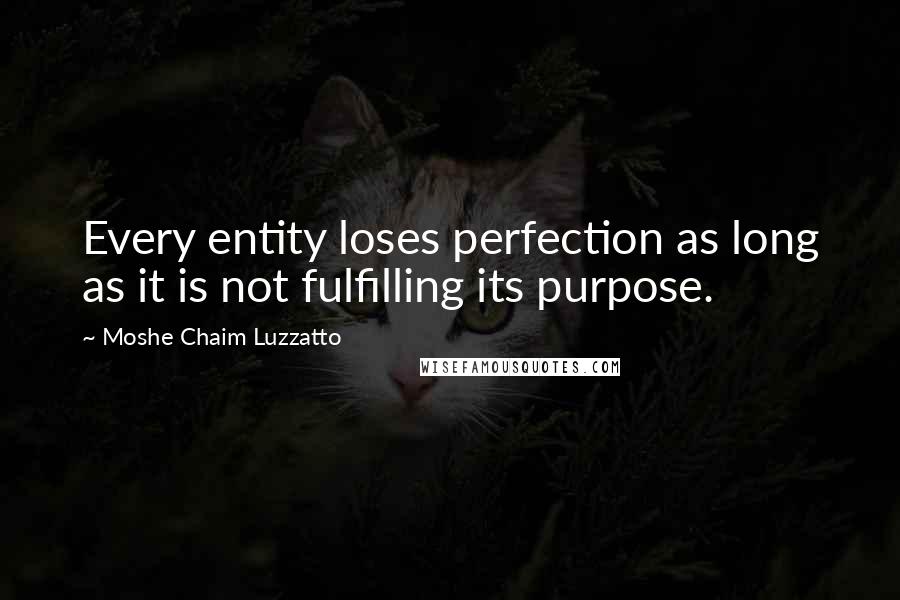 Moshe Chaim Luzzatto Quotes: Every entity loses perfection as long as it is not fulfilling its purpose.