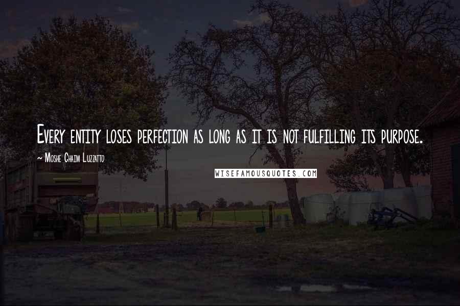 Moshe Chaim Luzzatto Quotes: Every entity loses perfection as long as it is not fulfilling its purpose.