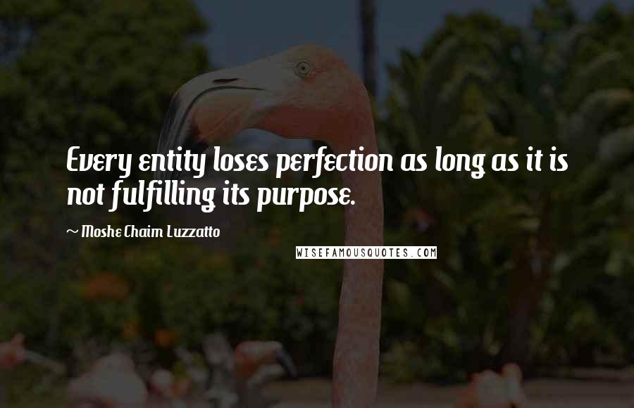 Moshe Chaim Luzzatto Quotes: Every entity loses perfection as long as it is not fulfilling its purpose.