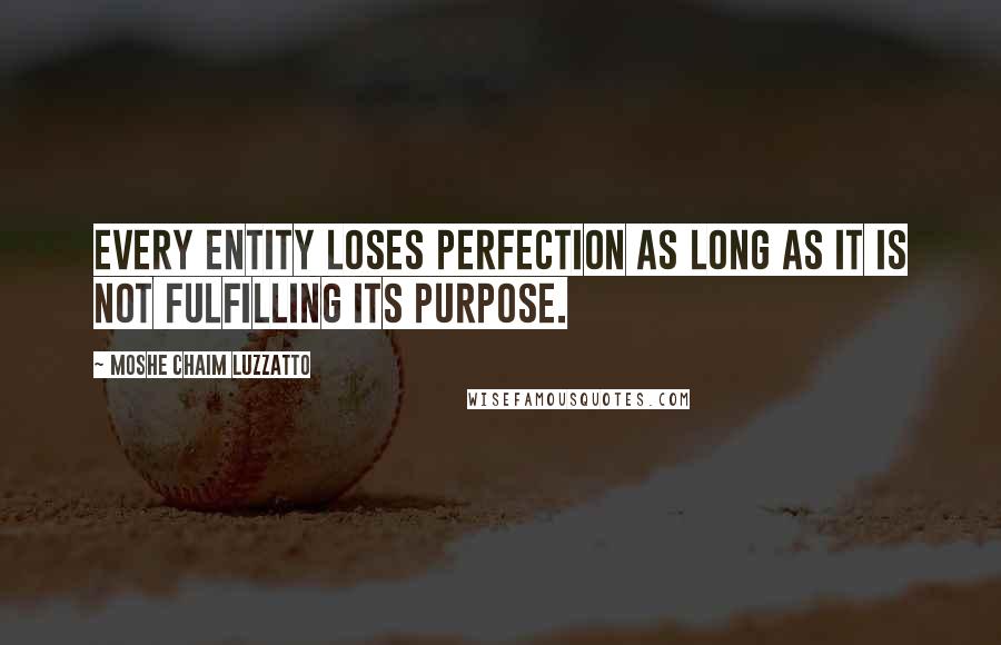 Moshe Chaim Luzzatto Quotes: Every entity loses perfection as long as it is not fulfilling its purpose.