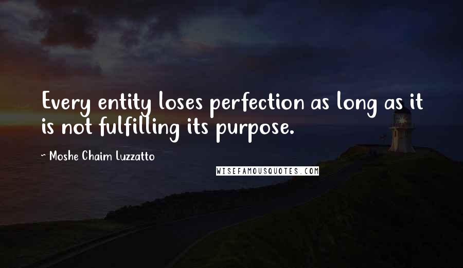 Moshe Chaim Luzzatto Quotes: Every entity loses perfection as long as it is not fulfilling its purpose.