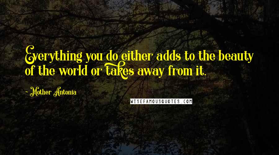 Mother Antonia Quotes: Everything you do either adds to the beauty of the world or takes away from it.