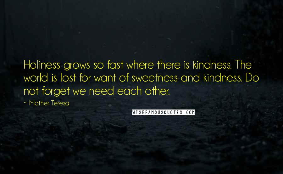 Mother Teresa Quotes: Holiness grows so fast where there is kindness. The world is lost for want of sweetness and kindness. Do not forget we need each other.