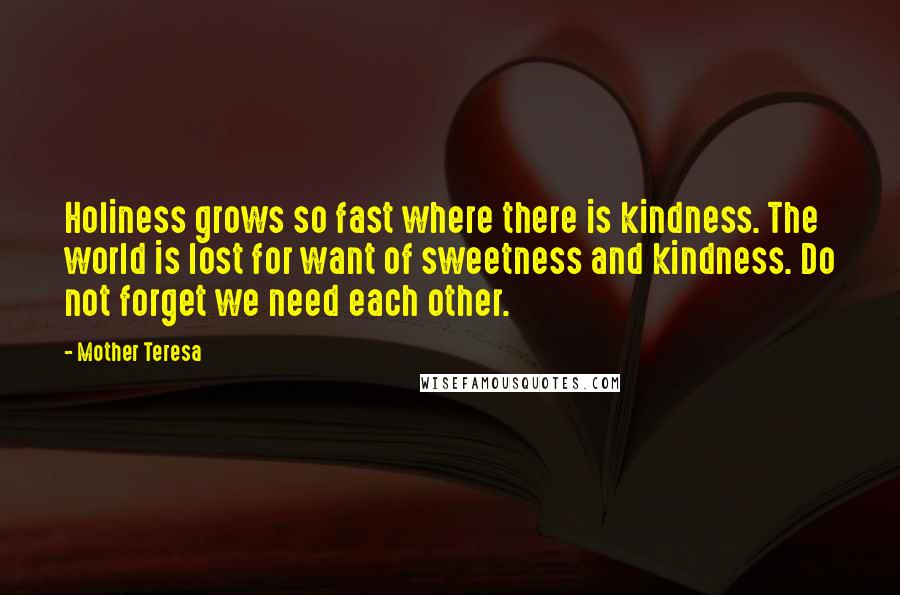 Mother Teresa Quotes: Holiness grows so fast where there is kindness. The world is lost for want of sweetness and kindness. Do not forget we need each other.