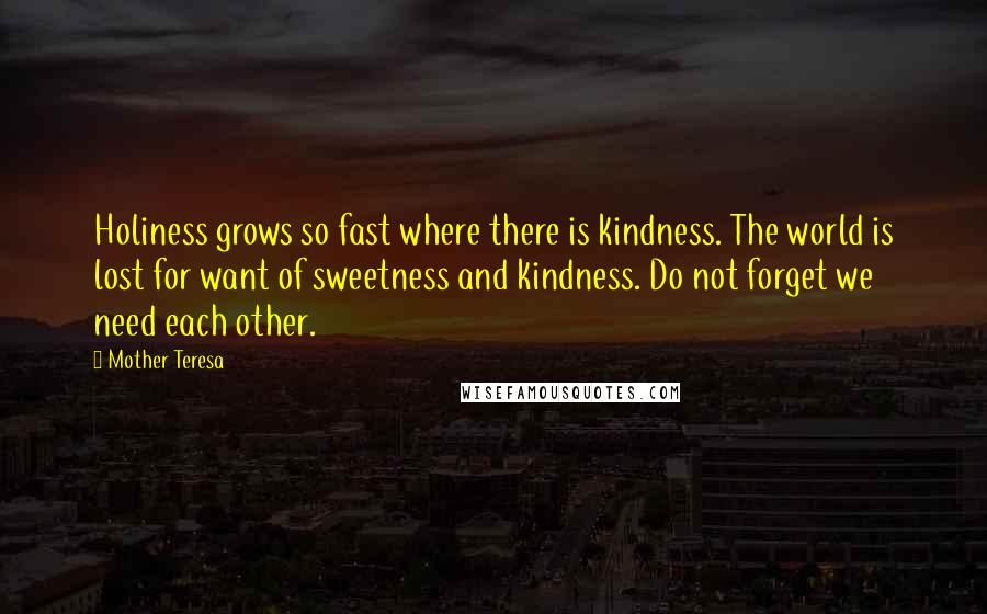 Mother Teresa Quotes: Holiness grows so fast where there is kindness. The world is lost for want of sweetness and kindness. Do not forget we need each other.