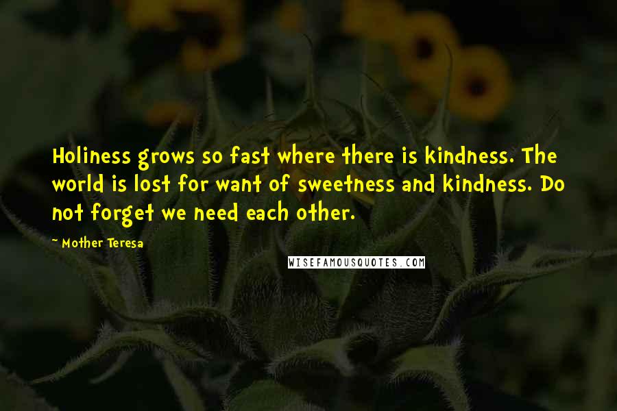 Mother Teresa Quotes: Holiness grows so fast where there is kindness. The world is lost for want of sweetness and kindness. Do not forget we need each other.