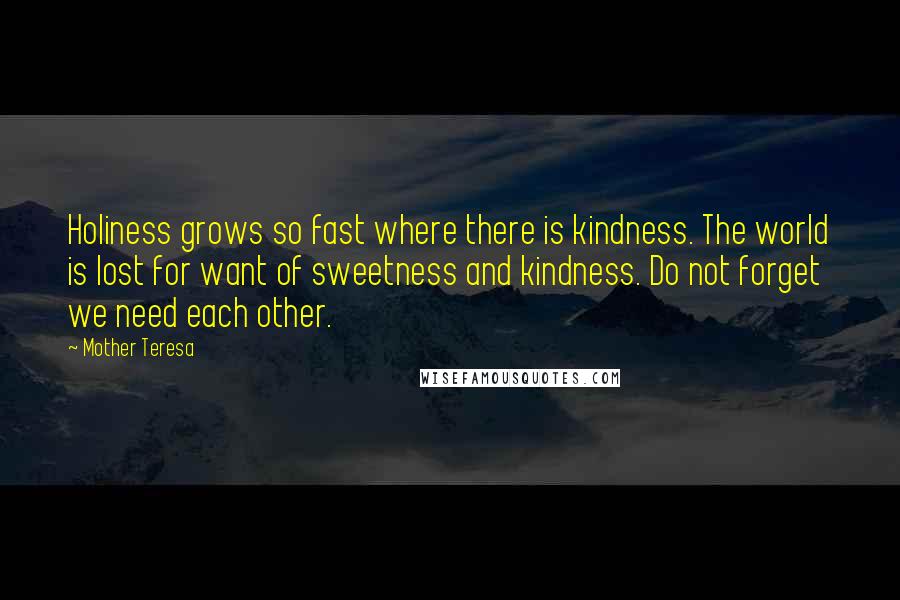 Mother Teresa Quotes: Holiness grows so fast where there is kindness. The world is lost for want of sweetness and kindness. Do not forget we need each other.