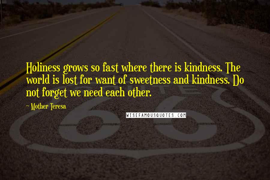 Mother Teresa Quotes: Holiness grows so fast where there is kindness. The world is lost for want of sweetness and kindness. Do not forget we need each other.