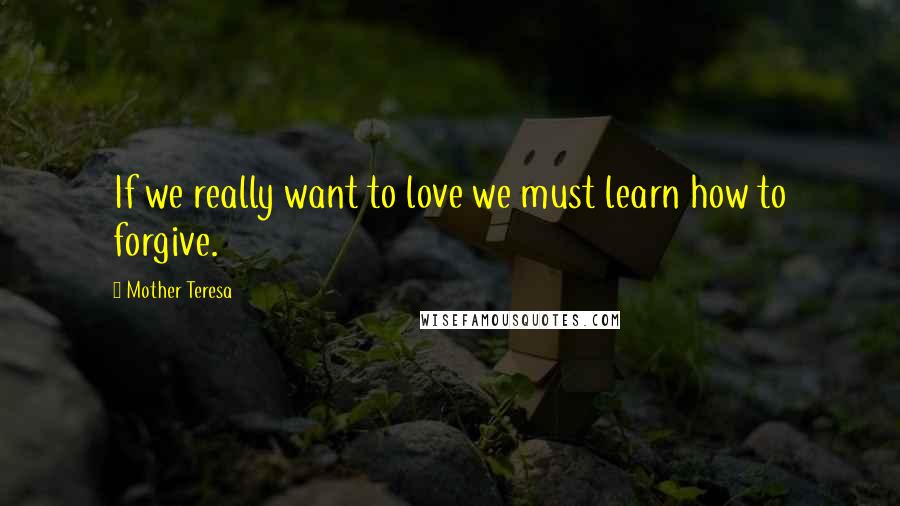 Mother Teresa Quotes: If we really want to love we must learn how to forgive.