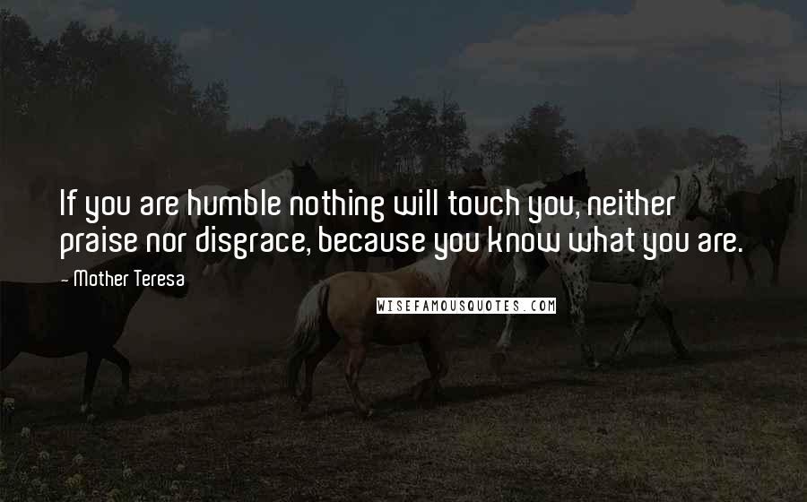 Mother Teresa Quotes: If you are humble nothing will touch you, neither praise nor disgrace, because you know what you are.