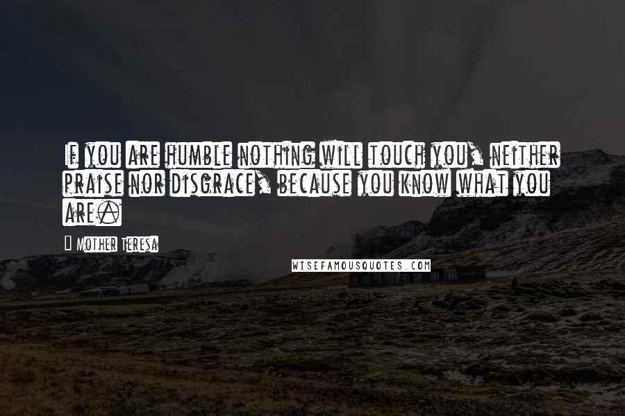 Mother Teresa Quotes: If you are humble nothing will touch you, neither praise nor disgrace, because you know what you are.