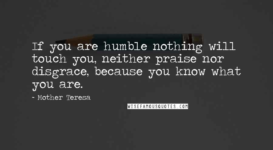 Mother Teresa Quotes: If you are humble nothing will touch you, neither praise nor disgrace, because you know what you are.