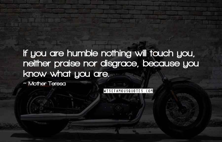 Mother Teresa Quotes: If you are humble nothing will touch you, neither praise nor disgrace, because you know what you are.