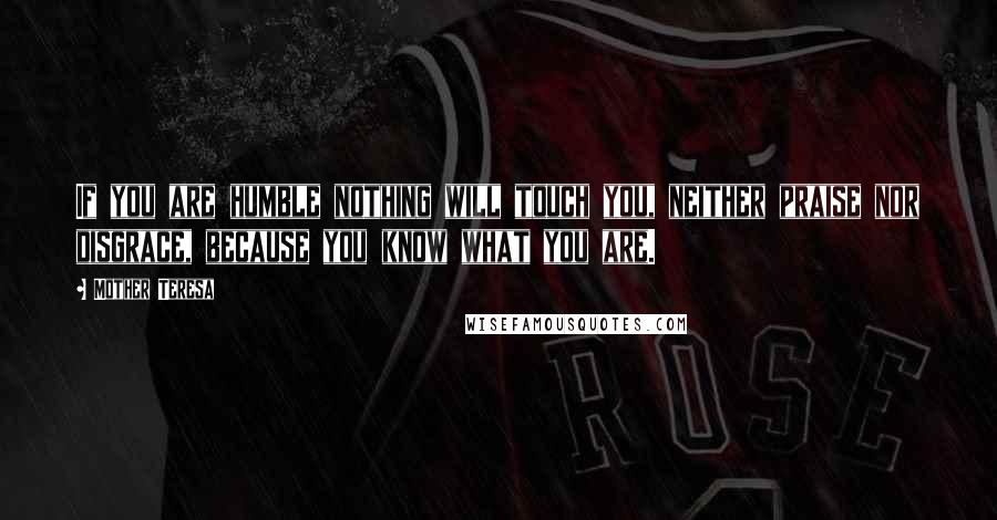 Mother Teresa Quotes: If you are humble nothing will touch you, neither praise nor disgrace, because you know what you are.