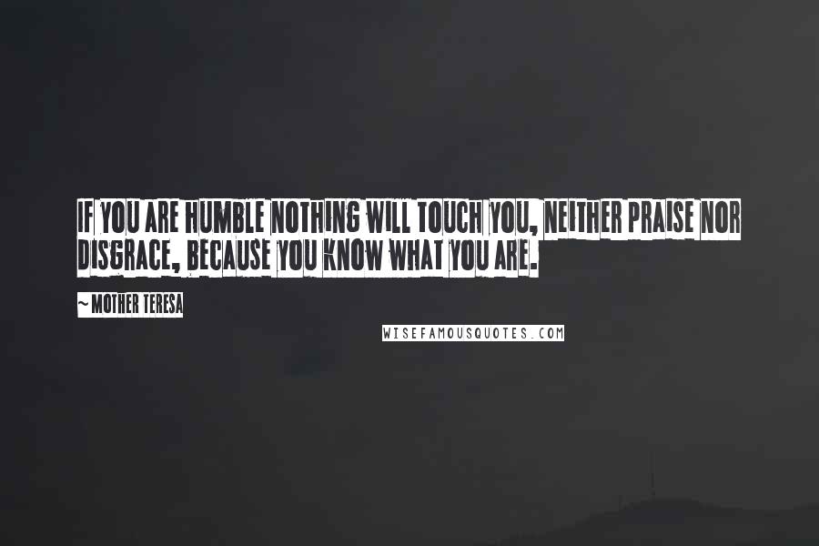 Mother Teresa Quotes: If you are humble nothing will touch you, neither praise nor disgrace, because you know what you are.