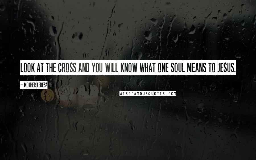 Mother Teresa Quotes: Look at the cross and you will know what one soul means to Jesus.