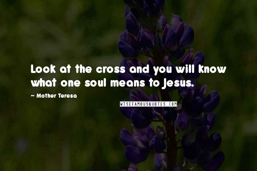 Mother Teresa Quotes: Look at the cross and you will know what one soul means to Jesus.