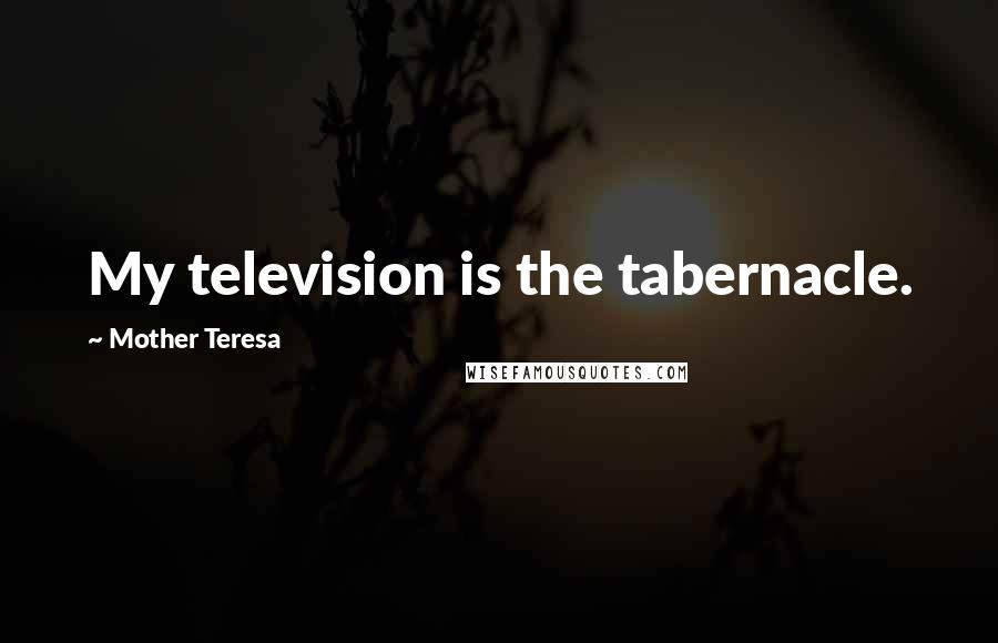 Mother Teresa Quotes: My television is the tabernacle.