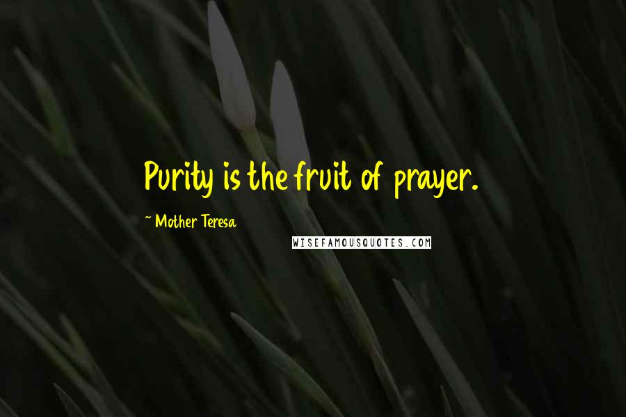 Mother Teresa Quotes: Purity is the fruit of prayer.