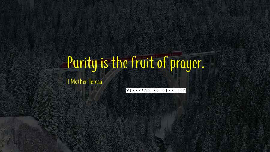 Mother Teresa Quotes: Purity is the fruit of prayer.