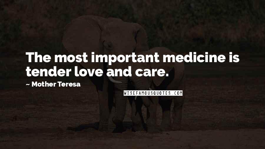 Mother Teresa Quotes: The most important medicine is tender love and care.