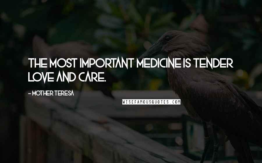 Mother Teresa Quotes: The most important medicine is tender love and care.