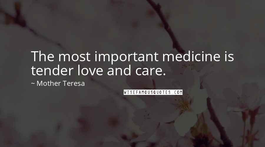 Mother Teresa Quotes: The most important medicine is tender love and care.