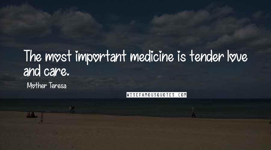 Mother Teresa Quotes: The most important medicine is tender love and care.